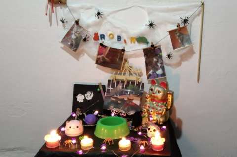 ¿Qué poner en la ofrenda para mi mascota en el Día de Muertos?
