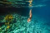 ¿Por qué tantos turistas eligieron Curazao en 2024? La isla caribeña batió récords