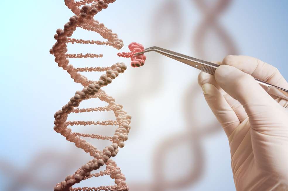 La técnica Crisp/Cas9 les ha permitido a los científicos cortar segmentos específicos de ADN y reemplazarlos por nuevos fragmentos. / iStock