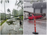 Por fuertes lluvias en Medellín se recibieron más de 200 llamadas a emergencias