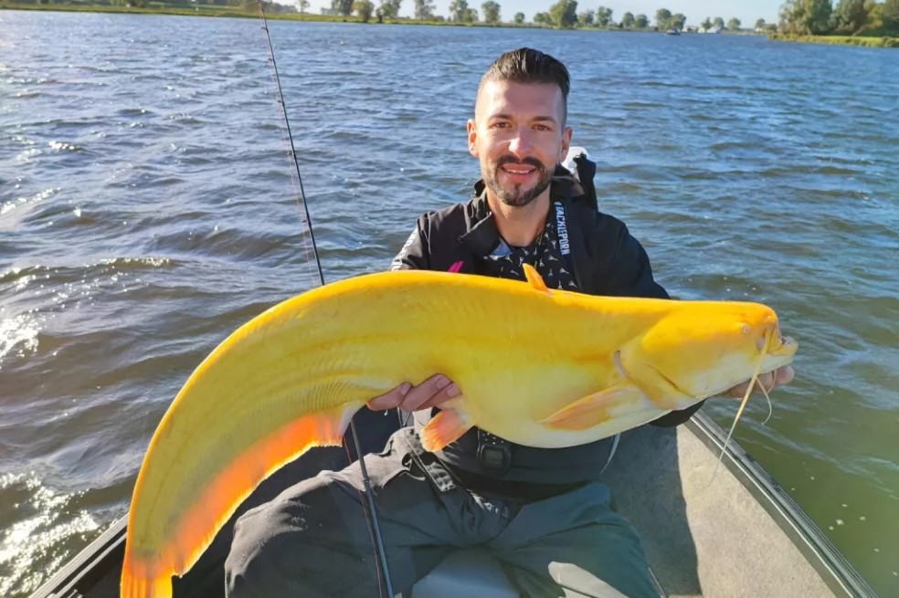 Martin Glatz, un pescador profesional de Holanda, junto al ejemplar del pez bagre.