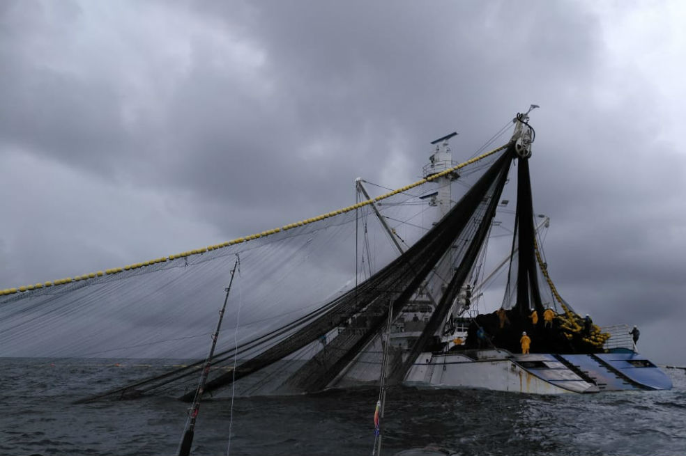 Esta es la embarcación panameña que habría violado las zonas de pesca de atún en Bahía Solano. / Fotos: Cortesía Daniel Mejía