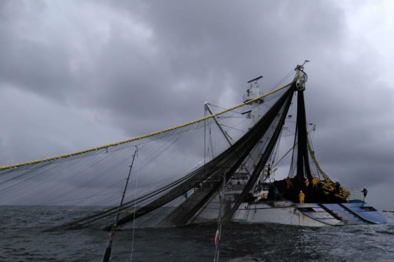 Denuncian presunta pesca ilegal de atún en Bahía Solano