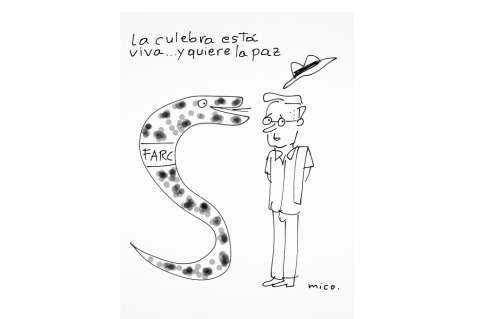 Mico