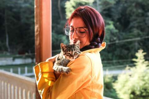 ¿Sabe por qué les dicen “Karen” a las dueñas de los gatos?: la verdadera historia
