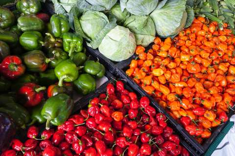 ¿Cómo conservar más tiempo las verduras?