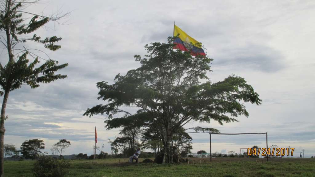 Lugar del árbol Sector A, Zona Veredal Mariana Páez