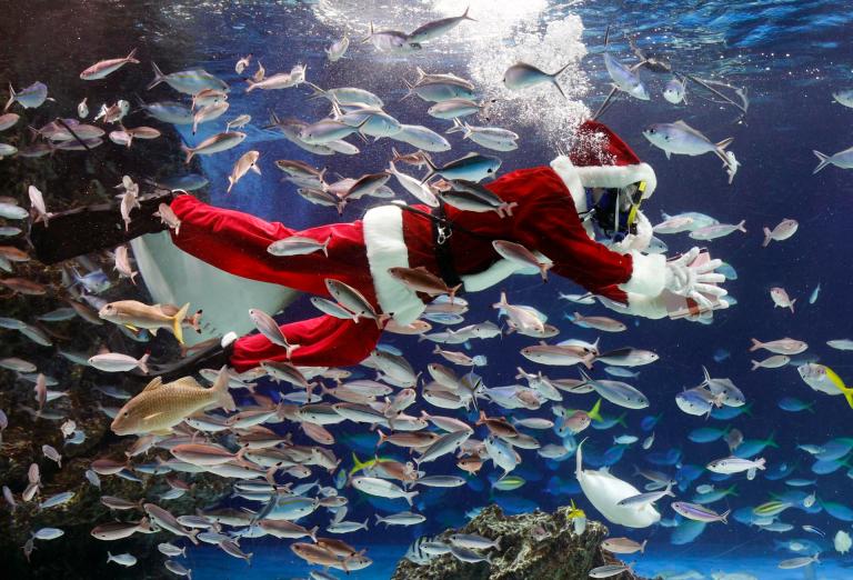 En fotos: así se vive la Navidad alrededor del mundo