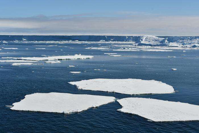 Mar de Bellinghausen, Antártida, fotografiado a bordo del buque de investigación R/V Falkor (también) en 2025. /Laura Cimoli, Universidad de Cambridge.