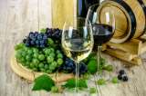 Chile abre el concurso de vinos más importante de Latinoamérica