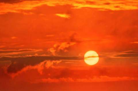 El mundo vivió en 2019 el junio más caliente de la época moderna