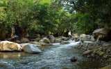 Un llamado desde Medellín para enfrentar los desafíos en torno al agua y la energía