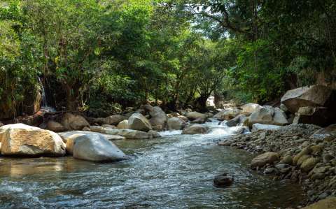 Un llamado desde Medellín para enfrentar los desafíos en torno al agua y la energía