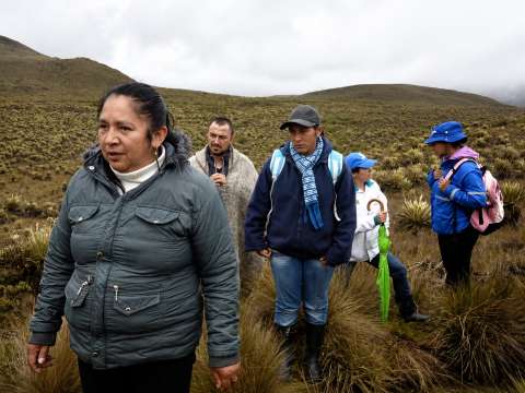 Mujeres de grandes ciudades de América Latina idean soluciones frente al estrés climático