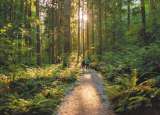 ¿Qué relación tiene la salud mental con el cambio climático?