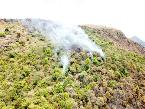 Tres municipios de Cundinamarca registran incendios forestales