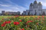 Tulipanes y lilas: en esta ciudad las plantas ayudan a sobrellevar la guerra