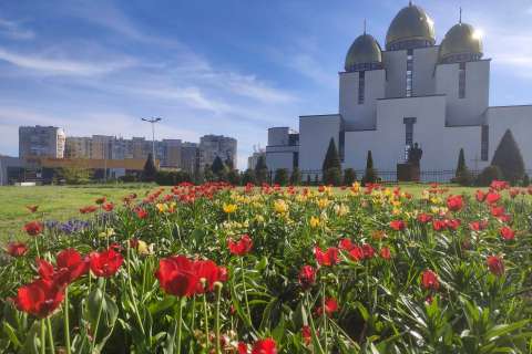 Tulipanes y lilas: en esta ciudad las plantas ayudan a sobrellevar la guerra
