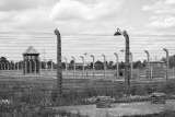 Una prestigiosa revista médica reconoce que ignoró las atrocidades nazis