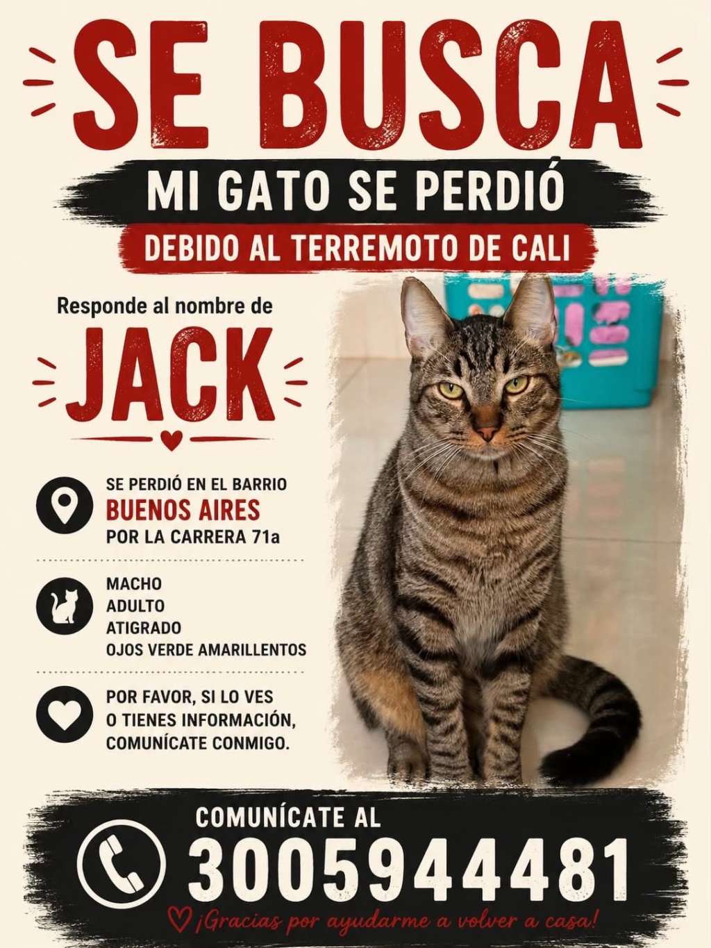Jack