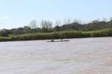 Hallan cuerpo de mujer que cayó al río Nechí en Yarumal, tras más de tres días de búsqueda