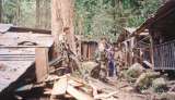 Casa Verde: 30 años del bombardeo que cambió la guerra con las Farc
