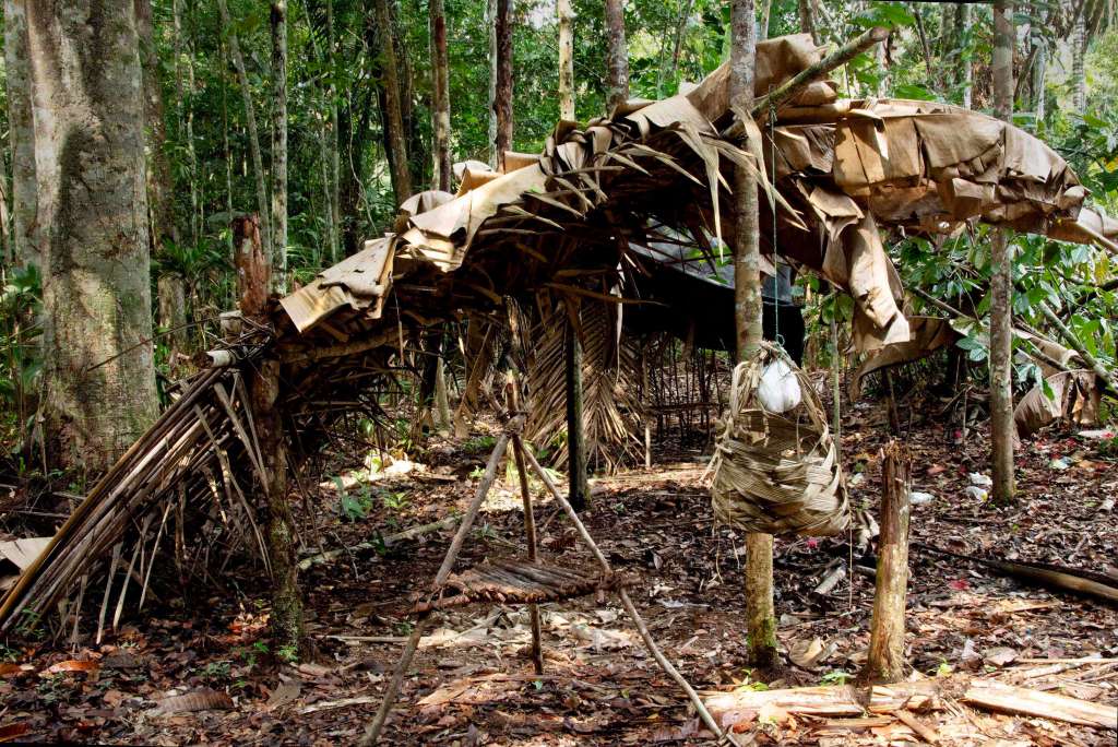 La lucha de una familia nukak por restaurar la Amazonia