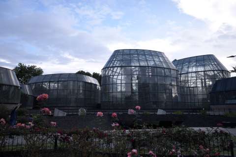 Conozca la programación de la Exposición Nacional de Orquídeas en Bogotá
