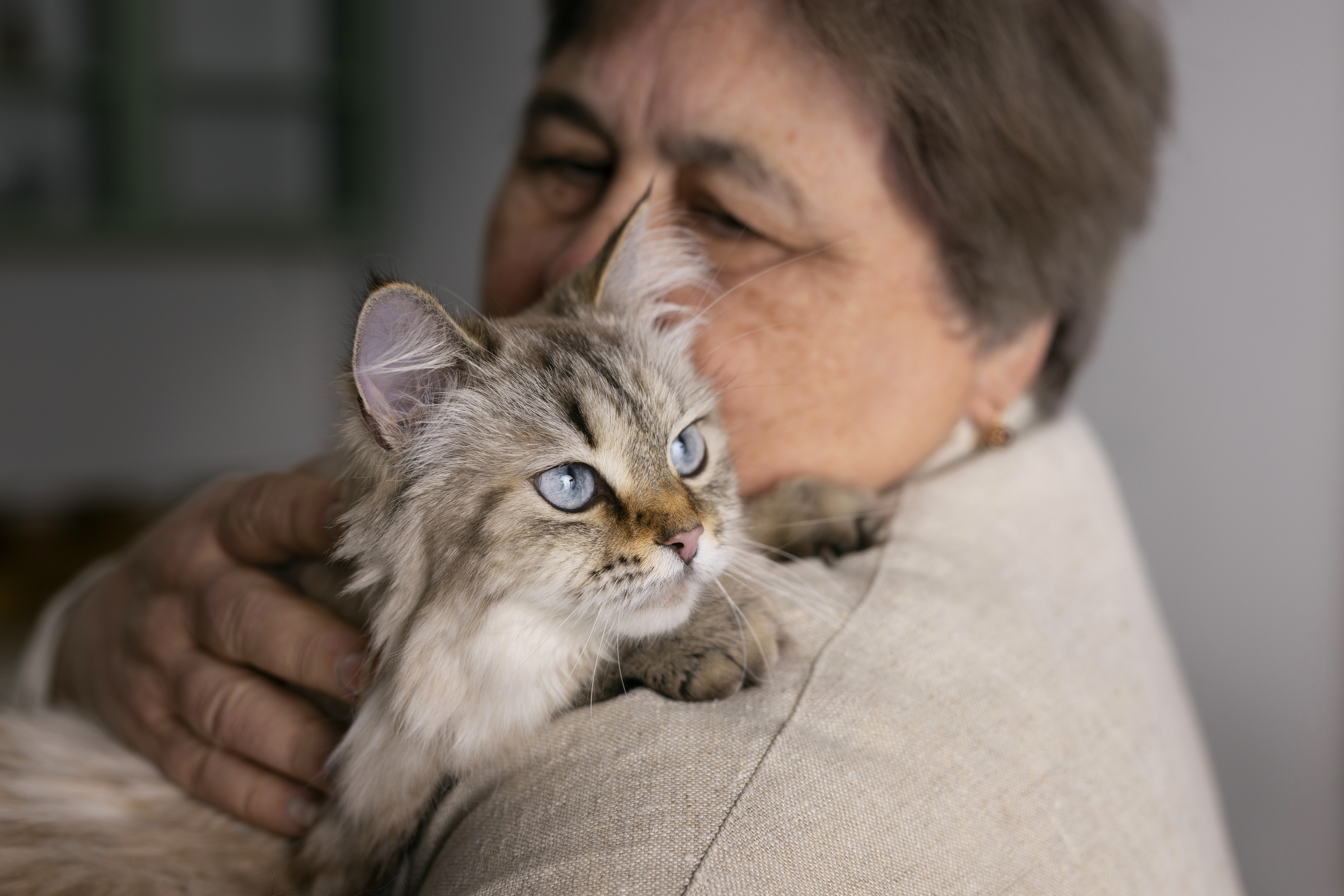 Con el paso de los años, los felinos van perdiendo sus habilidades, por ello requerirán ayuda de sus tutores. En La Red Zoocial le contamos qué puede hacer.