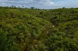 Caquetá será sede de un evento internacional clave para el desarrollo ambiental en el mundo