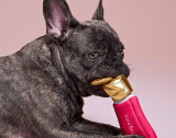 Perros y gatos a la moda: Selena Gómez lanza una colección con productos para mascotas