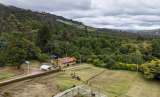 Primer jardín botánico de páramo protegerá 209 hectáreas en Cundinamarca