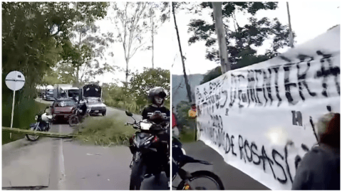 Las razones de los manifestantes de Rosas, Cauca para bloquear la vía Panamericana