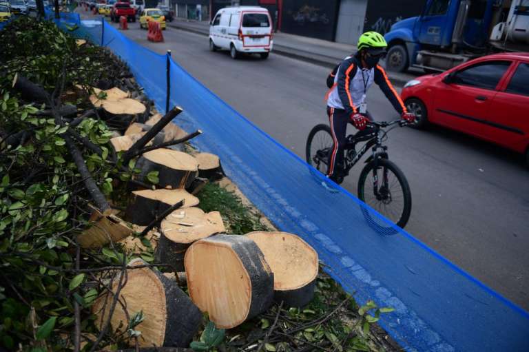 Hasta el momento, el Instituto de Desarrollo Urbano (IDU) no se ha pronunciado al respecto, pues asegura que estas talas ya fueron autorizadas por la Secretaría de Ambiente de Bogotá.