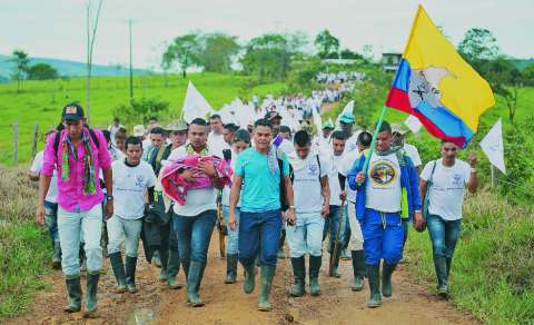 Nueva masacre de una familia campesina en Mesetas