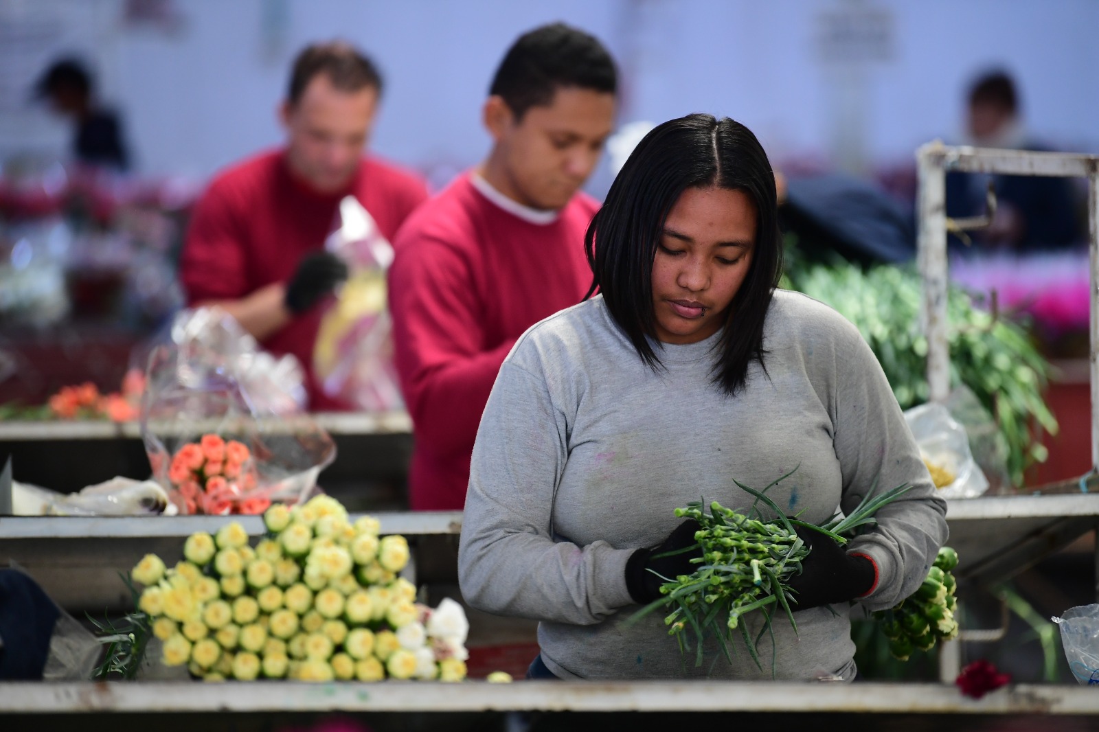 La autonomía económica no solo permite sostener la vida, sino también dignificarla.