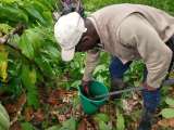 La investigación participativa y la co-innovación para las transiciones agrícolas