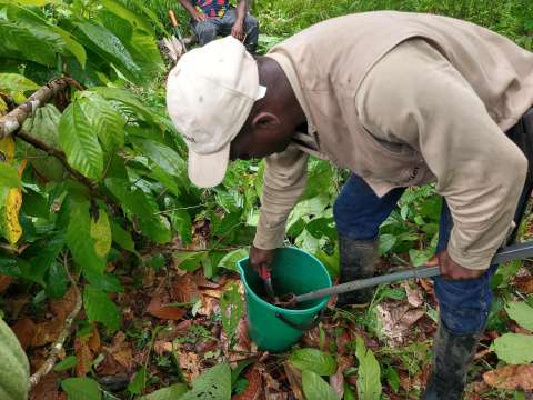 La investigación participativa y la co-innovación para las transiciones agrícolas