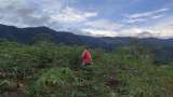 ¿Quién cuida el campo colombiano?