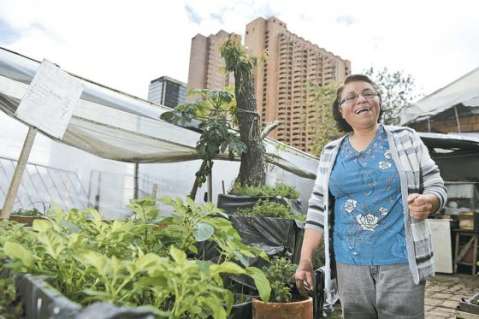 Buscan institucionalizar agricultura urbana en Bogotá