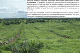 1,4 millones de hectáreas de tierras son de extranjeros: así buscan regular su compra