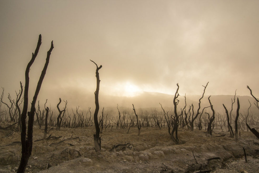 Con relación a los años anteriores, 2021 fue un año más fresco debido al fenómeno de La Niña. Sin embargo, a largo plazo, continúa con la tendencia del calentamiento.
