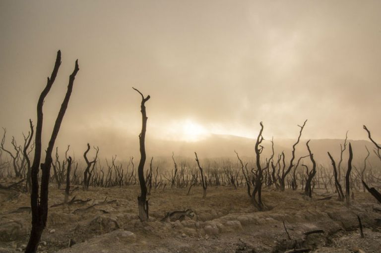 2021 fue el quinto año más caluroso desde 1979