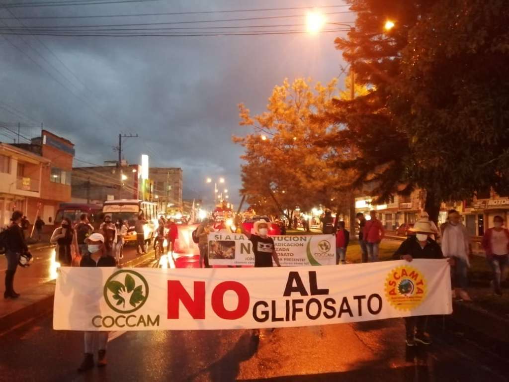 En Popayán se movilizaron más de 4.500 cocaleros en las marchas del 12M.