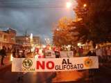 Los reclamos de los cocaleros, otra cara del paro nacional en el Cauca