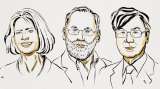 Nobel de Medicina 2025 a tres científicos por sus hallazgos sobre el sistema inmune