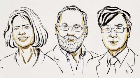 Nobel de Medicina 2025 a tres científicos por sus hallazgos sobre el sistema inmune