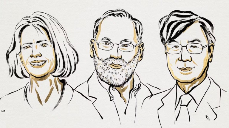 Nobel de Medicina 2025 a tres científicos por sus hallazgos sobre el sistema inmune