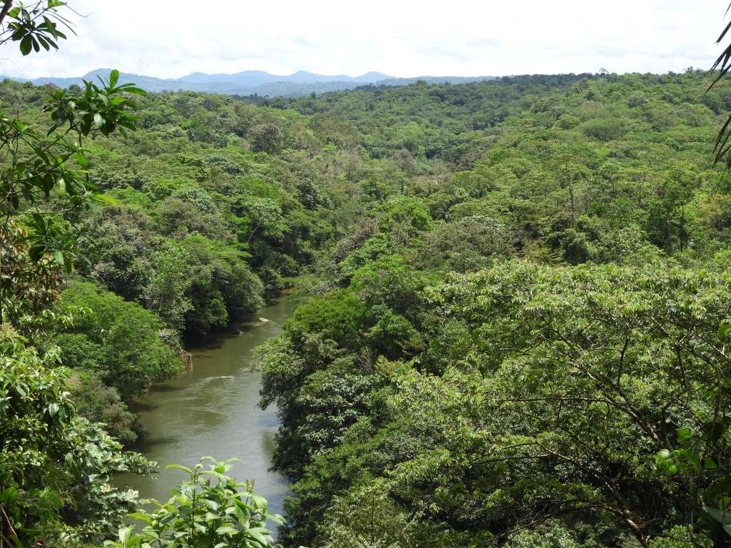 En el área protegida se han identificado 90 especies de plantas y 479 especies de fauna.