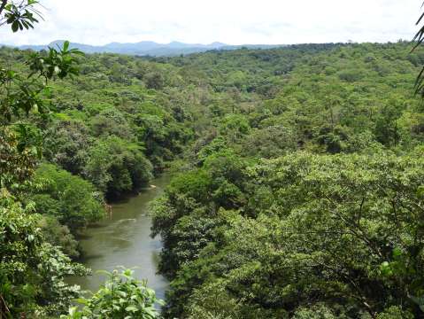 Declaran una nueva área protegida en Chocó de más de 30.000 hectáreas